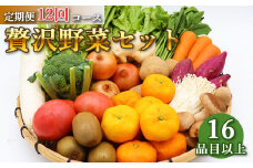 定期便 12回コース 贅沢 野菜 セット どっさり 16品目以上 季節の野菜 フルーツ キノコ 詰め合わせ [吉岡青果 長崎県 雲仙市 item2218]