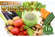 定期便 6回偶数月コース 贅沢 野菜 セット どっさり 16品目以上 季節の野菜 フルーツ キノコ 詰め合わせ [吉岡青果 長崎県 雲仙市 item1823] 