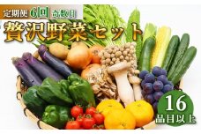 定期便 6回奇数月コース 贅沢 野菜 セット どっさり 16品目以上 季節の野菜 フルーツ キノコ 詰め合わせ [吉岡青果 長崎県 雲仙市 item1824] 