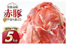 雲仙高原 赤豚 国産 豚ウデ 切り落とし 5kg 500g×10p [長崎県農産品流通 長崎県 雲仙市 item2269 ] 豚肉 肉 切落し