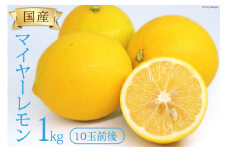 【産地直送】国産 レモン 1kg マイヤーレモン [長崎県農産品流通 長崎県 雲仙市 item1942] れもん 檸檬 果物 くだもの フルーツ 1キロ 期間限定