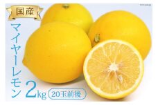【産地直送】国産 レモン 2kg マイヤーレモン [長崎県農産品流通 長崎県 雲仙市 item1941] れもん 檸檬 果物 くだもの フルーツ 2キロ 期間限定