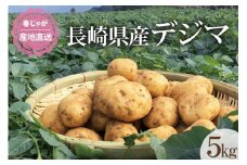 【期間限定発送】なんぐしデジマ（春作 じゃがいも ）5kg [なんぐしデジマプロジェクトチーム 長崎県 雲仙市 item2066] 野菜 じゃがいも 春じゃが 5キロ 期間限定