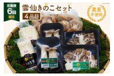 定期便 6回 隔月お届け 質で勝負！ 農薬不使用 雲仙きのこセット 4品目 [吉岡青果 長崎県 雲仙市 item1829] 
