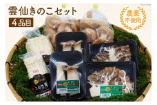 洗わず使える 農薬不使用 雲仙きのこセット 4品目 [吉岡青果 長崎県 雲仙市 item1279] 