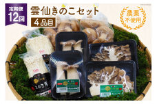 定期便 12回 質で勝負! 農薬不使用 雲仙きのこセット 4品目 [吉岡青果 長崎県 雲仙市 item1828] 