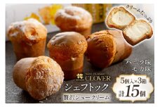 シュー菓子 シェフトック5個×3箱 計15個 冷凍 おやつ デザート ギフト [ネオクラシッククローバー 長崎県 雲仙市 item1195] 