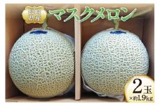 【期間限定発送】メロン マスクメロン 約1.9kg×2玉 [シミズ farm 長崎県 雲仙市 item2042] フルーツ 果物 2玉