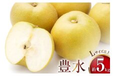 【期間限定発送】【数量限定！】 豊水梨 約5kg Lサイズ以上 [長崎県農産品流通 長崎県 雲仙市 item1547] 梨 豊水 なし ナシ 果物 フルーツ 5キロ 季節限定