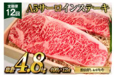 定期便 12回 牛肉 雲仙育ち おがわ牛 A5 サーロインステーキ 総計4.8kg(400g×12回) [焼肉おがわ 長崎県 雲仙市 item2112] ステーキ 黒毛和牛 冷凍
