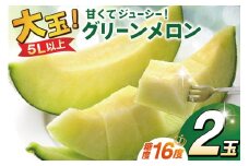 【期間限定発送】グリーンメロン 糖度16度 5L (約2.2kg以上)×2玉 [栗林FLOWER 長崎県 雲仙市 item1937] メロン 青肉 フルーツ 果物 期間限定