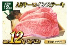 定期便 12回 牛肉 雲仙育ち おがわ牛 A5 サーロインステーキ 総計12kg(1kg×12回) [焼肉おがわ 長崎県 雲仙市 item2115] ステーキ 黒毛和牛 冷凍