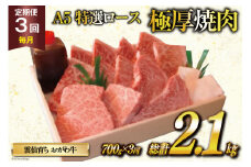 定期便 3回 牛肉 雲仙育ち おがわ牛 A5 特選 ロース 極厚焼肉 総計2.1kg(700g×3回) 黒毛和牛 冷凍 [焼肉おがわ 長崎県 雲仙市 item2119]