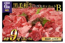 定期便 6回 牛肉 雲仙育ち おがわ牛 バラエティーセットB 総計9kg(1.5kg×6回) [焼肉おがわ 長崎県 雲仙市 item2129] 黒毛和牛 カルビ 切り落とし 定期 冷凍