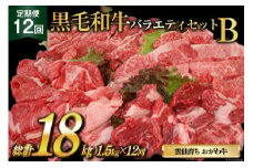 定期便 12回 牛肉 雲仙育ち おがわ牛 バラエティーセットB 総計18kg(1.5kg×12回 ) [焼肉おがわ 長崎県 雲仙市 item2130] 黒毛和牛 カルビ 切り落とし 定期 冷凍