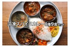 冷凍スパイスカレー 4種 計9食セット [カレーライフ 長崎県 雲仙市 item2246] 