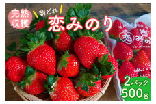 【期間限定発送】 いちご 恋みのり 2パック（500g以上） 2Lサイズ以上 シャインファームから直送 [吉岡青果 長崎県 雲仙市 item1500] イチゴ 苺 果物 くだもの フルーツ 数量限定 期間限定