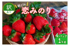【期間限定発送】訳あり いちご 恋みのり 4パック（1kg以上） 朝どれ シャインファームから直送 [吉岡青果 長崎県 雲仙市 item1498] イチゴ 苺 果物 くだもの フルーツ 数量限定 期間限定
