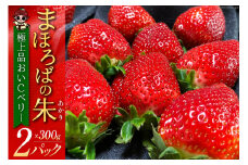 【期間限定発送】 いちご まほろばの朱(あかり) 300g×2p 大粒 計600g 2.0 極上品 おいCベリー [吉田農園まほら 長崎県 雲仙市 item1720] イチゴ 苺 果物 フルーツ 完熟 ストロベリー 長崎県産 季節限定