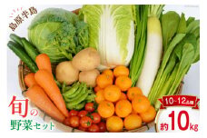 【先行受付】島原半島の旬の野菜セット 10～12品種 [まるまさ 長崎県 雲仙市 item1203] 野菜 やさい 詰め合わせ 食べ比べ 期間限定