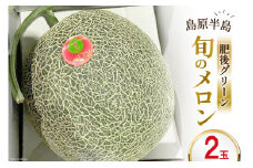 メロン「 肥後グリーン 」 2玉 [まるまさ 長崎県 雲仙市 item1202] フルーツ 果物 くだもの 期間限定 数量限定