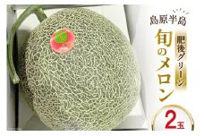 メロン「 肥後グリーン 」 2玉 [まるまさ 長崎県 雲仙市 item1202] フルーツ 果物 くだもの 期間限定 数量限定