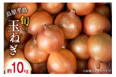 【先行受付】【島原半島育ち】 玉ねぎ 約10kg [まるまさ 長崎県 雲仙市 item1930] たまねぎ オニオン タマネギ 野菜 期間限定 10キロ