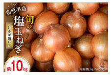 【島原半島育ち】 塩玉ねぎ 約10kg [まるまさ 長崎県 雲仙市 item1204] 玉ねぎ オニオン たまねぎ  タマネギ 野菜 期間限定 10キロ