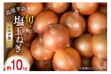【島原半島育ち】 塩玉ねぎ 約10kg [まるまさ 長崎県 雲仙市 item1204] 玉ねぎ オニオン たまねぎ  タマネギ 野菜 期間限定 10キロ