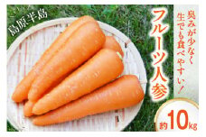 【島原半島育ち】 フルーツ人参 約10kg [まるまさ 長崎県 雲仙市 item1201] フルーツにんじん 野菜 にんじん ニンジン 人参 10キロ 期間限定