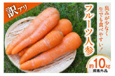 【島原半島育ち】 訳あり フルーツ人参 約10kg [まるまさ 長崎県 雲仙市 item1200] フルーツにんじん 野菜 にんじん ニンジン 人参 規格外 10キロ 期間限定