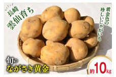 【島原半島育ち】 春 じゃがいも ながさき黄金 約10kg [まるまさ 長崎県 雲仙市 item1925] 芋 ジャガイモ じゃが芋 春じゃが 10キロ 期間限定