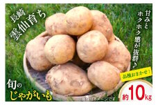 【品種おまかせ】【島原半島育ち】 春 じゃがいも 約10kg [まるまさ 長崎県 雲仙市 item1929] 芋 ジャガイモ じゃが芋 春じゃが 10キロ 期間限定