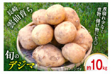 【島原半島育ち】 春 じゃがいも デジマ 約10kg [まるまさ 長崎県 雲仙市 item1926] ジャガイモ じゃが芋 春じゃが 10キロ 期間限定