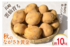 【島原半島育ち】 秋 じゃがいも ながさき黄金 約10kg [まるまさ 長崎県 雲仙市 item1924] ジャガイモ じゃが芋 期間限定