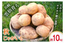 【島原半島育ち】 秋 じゃがいも 約10kg [まるまさ 長崎県 雲仙市 item1928] ジャガイモ じゃが芋 期間限定