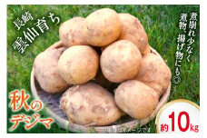 【島原半島育ち】 秋 じゃがいも デジマ 約10kg [まるまさ 長崎県 雲仙市 item1927] ジャガイモ じゃが芋 馬鈴薯 期間限定
