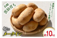 【島原半島育ち】 春 じゃがいも メークイン 約10kg [まるまさ 長崎県 雲仙市 item1211] 芋 ジャガイモ じゃが芋 春じゃが 10キロ 期間限定