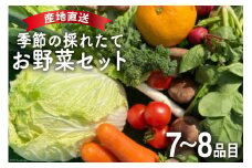 雲仙 季節の採れたてお野菜セット 7～8品目 / 九州きばる / 長崎県 雲仙市 [item0928] 野菜 セット 旬 詰め合わせ 産地直送 食べ比べ