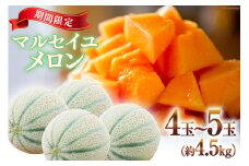 【期間限定発送】 メロン マルセイユメロン 4玉～5玉 約 4.5kg [長崎県農産品流通 長崎県 雲仙市 item1587] めろん 赤肉 フルーツ 果物 赤肉メロン マルセイユ