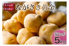 【期間限定発送】 じゃがいも ながさき黄金 5kg ( 春じゃがいも ) [南串ながさき黄金生産組合 長崎県 雲仙市 item1356] ジャガイモ 春ジャガイモ 野菜 5キロ 期間限定