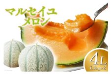 【期間限定発送】 メロン マルセイユメロン 4L 約 1.3kg × 2玉 [ふるさと企画 長崎県 雲仙市 item2017] めろん 赤肉メロン 赤肉 フルーツ 果物 マルセイユ 季節限定 期間限定