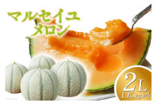 【期間限定発送】 メロン マルセイユメロン 2L 約 1.15kg × 4玉 [ふるさと企画 長崎県 雲仙市 item2016] めろん 赤肉メロン 赤肉 フルーツ 果物 マルセイユ 季節限定 期間限定