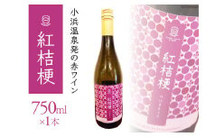 赤ワイン 小浜温泉発 紅桔梗 750ml×1本 [小浜温泉ワイナリー 長崎県 雲仙市 item1756] ワイン 赤 赤ワイン 国産 日本