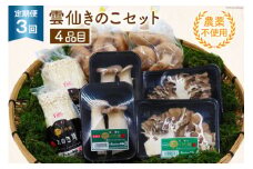 定期便 3回 連続 洗わず使える 農薬不使用 雲仙きのこセット (4品目/回) [吉岡青果 長崎県 雲仙市 item1305] 