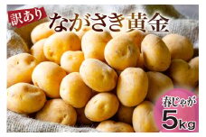 【期間限定発送】 訳あり じゃがいも ながさき黄金 5kg 小玉サイズ（ 春じゃがいも ） [南串ながさき黄金生産組合 長崎県 雲仙市 item1357] 訳アリ ジャガイモ 春ジャガイモ 野菜 期間限定