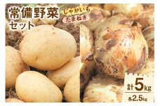 【期間限定発送】 野菜 雲仙市産 常備野菜セット じゃがいも & たまねぎ 各2.5kg 計5kg [トトノウ 長崎県 雲仙市 item1413] 野菜セット 詰め合わせ 期間限定 ジャガイモ 春じゃが 玉ねぎ タマネギ 新玉ねぎ セット
