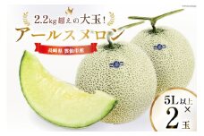 特大 【 5Lサイズ（2.2kg）以上 】アールスメロン 2玉 / 村木農園 / 長崎県 雲仙市 [item0982] 期間限定 果物 フルーツ メロン アールス