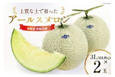 【 3Lサイズ（約1.8kg）】 アールスメロン 2玉 / 村木農園 / 長崎県 雲仙市 [item0983] 期間限定 果物 フルーツ メロン アールス