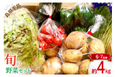 島原半島の旬の野菜 セット 6～7品種 約4kg [まるまさ 長崎県 雲仙市 item2205] 野菜 やさい 旬 詰め合わせ 食べ比べ 期間限定
